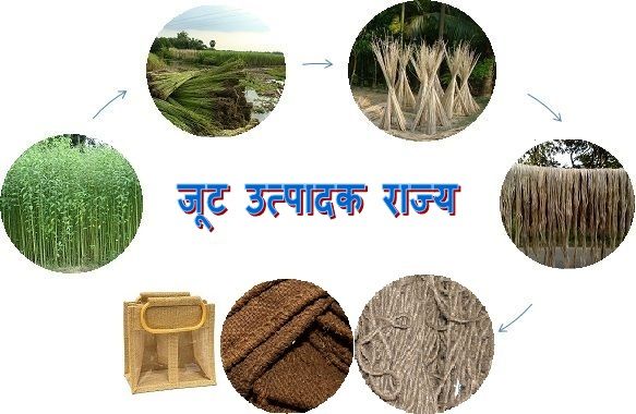 Jute production in India state wise